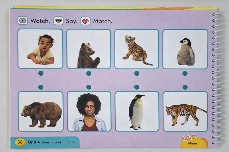 CLIL activity in kindergarten English book showing people and animals Ready Steady Grow Level 1